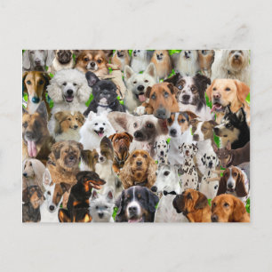 Postal Collage de perros