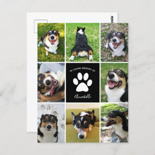 Postal Collage de perros Personalizado mascota en memoria