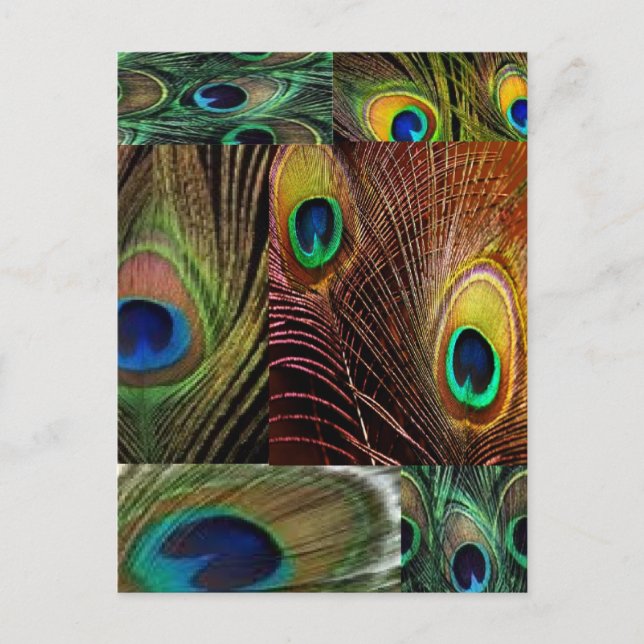 Postal collage de plumas de pavo real (Anverso)