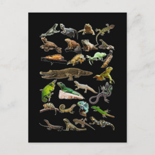 Postal Collage de Reptiles Lagarto Gecko Dragón Barbudo