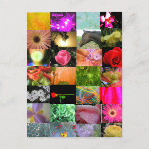 Postal Collage de Variedades