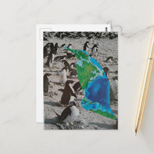 Postal Collage de vida silvestre de pingüinos