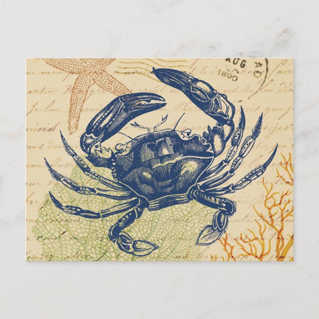 Postal Collage del Cangrejo Azul costero (Anverso)