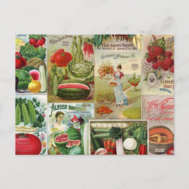 Postal Collage del Catálogo de Semillas de Frutas y Veget (Anverso)