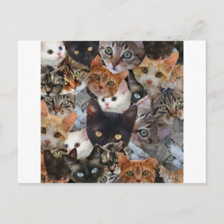 Postal Collage del gatito
