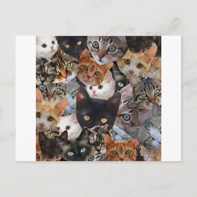 Postal Collage del gatito (Anverso)