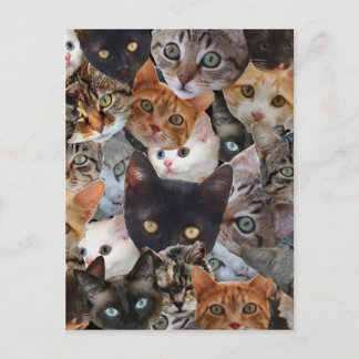 Postal Collage del gatito