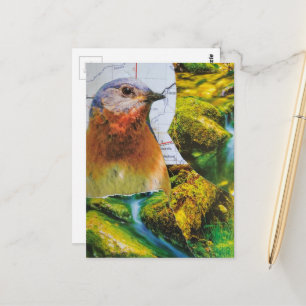 Postal Collage del Mapa del Bosque Bluebird