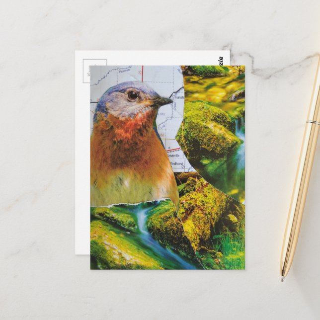 Postal Collage del Mapa del Bosque Bluebird (Anverso/Reverso In Situ)
