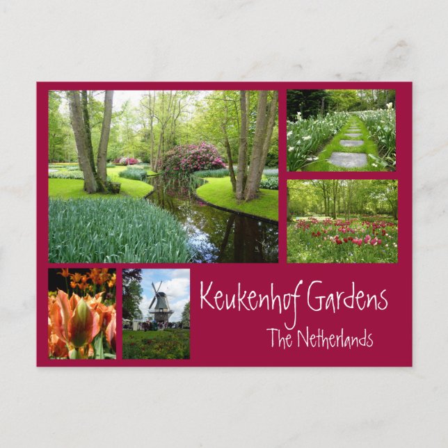 Postal Collage Keukenhof Gardens (Anverso)