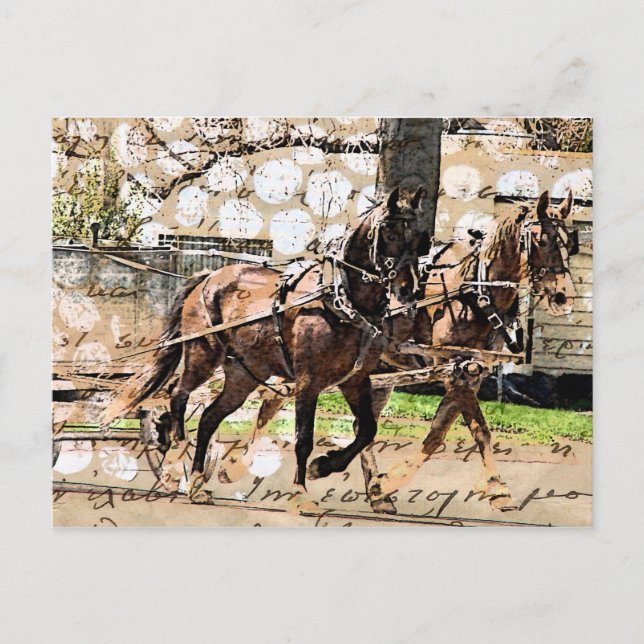 Postal Collage mixto de medios de dos caballos (Anverso)