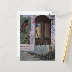 Postal Collage Retro de Aves y Peces