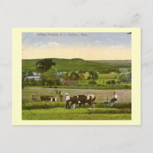 Postal College Meadow, Amherst Massachusetts 1912 Vintage