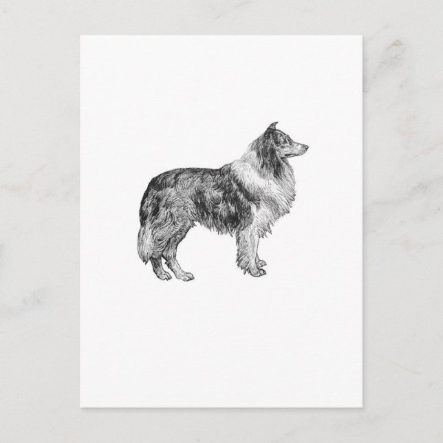 Postal Collie (Anverso)