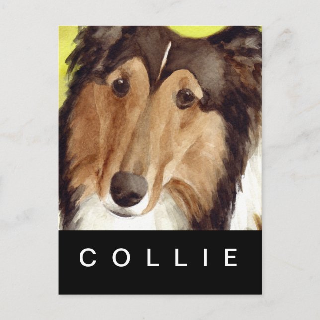 Postal Collie (Anverso)