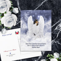 Collie Angel Tricolor y Cherub - Simpatía por pérd