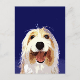 Postal Collie con barba