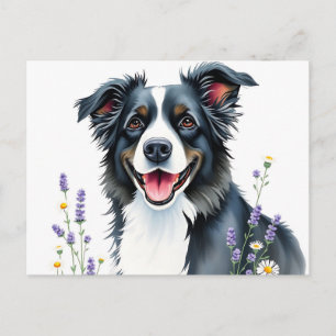 Postal Collie de borde acuarela con Lavanda y Daisies
