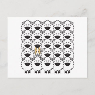 Postal Collie de borde en la oveja