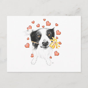Postal Collie De Bordes Y Corazones
