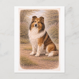 Postal Collie de estilo vintage