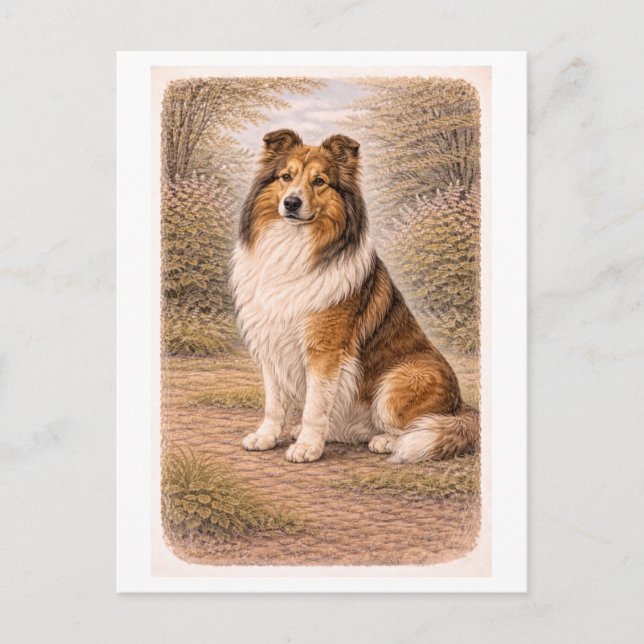 Postal Collie de estilo vintage (Anverso)