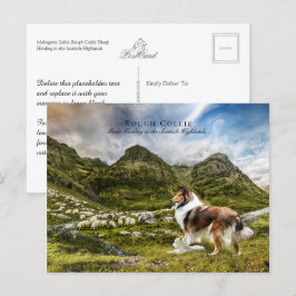 Postal Collie de pastores en masa de Sable Rough - Colect