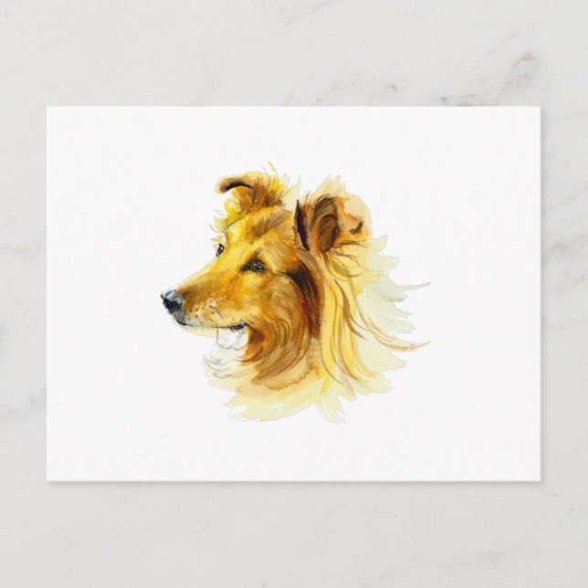 Postal Collie Dog Portrait (Anverso)