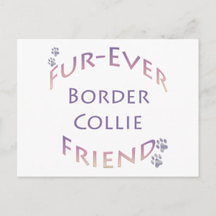 Postal Collie Furever de borde