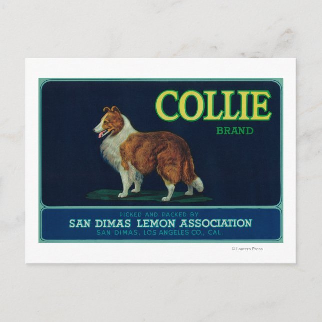 Postal Collie Lemon LabelSan Dimas, CA (Anverso)