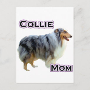 Postal Collie Mom 4