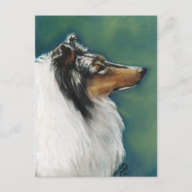 Postal "Collie" Original Dog Art Postcard (Anverso)