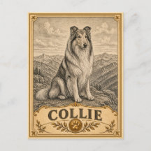 Collie, Perro Patrimonio Vintage