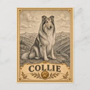 Postal Collie, Perro Patrimonio Vintage