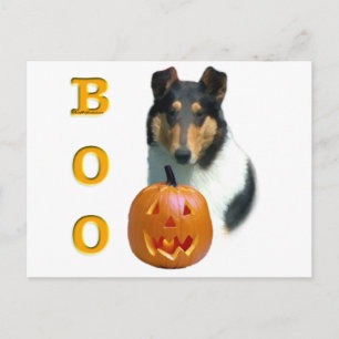 Postal Collie (suave) Boo