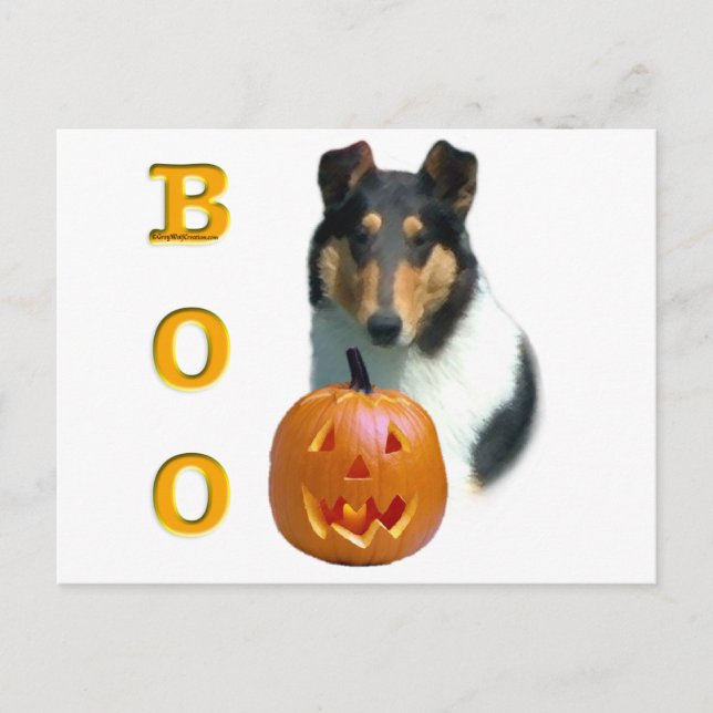 Postal Collie (suave) Boo (Anverso)