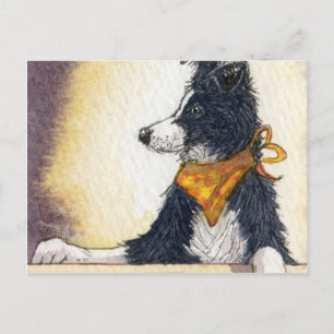 Postal Collie vaquero de Guay cuidadosamente mantiene un