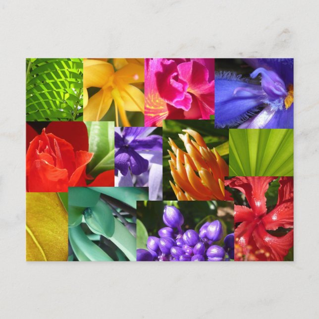 Postal Coloca tu mundo (Anverso)