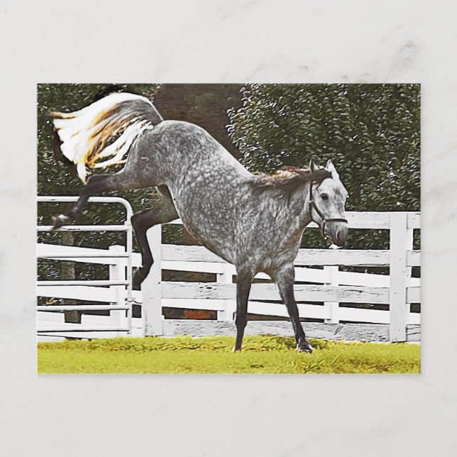 Postal Colocando los talones (Anverso)