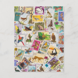 Postal Colocar la marca aquí