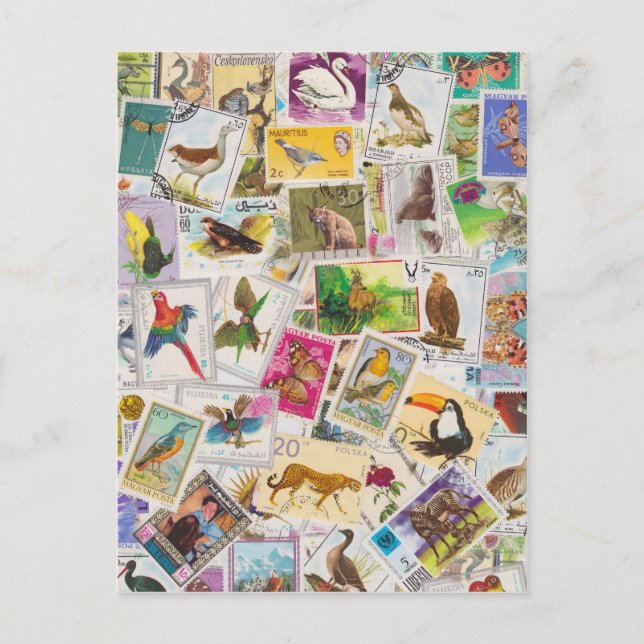 Postal Colocar la marca aquí (Anverso)