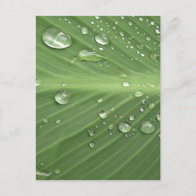 Postal Colocar por soltar (Anverso)