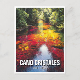 Postal Colombia Cano Cristales Viajes