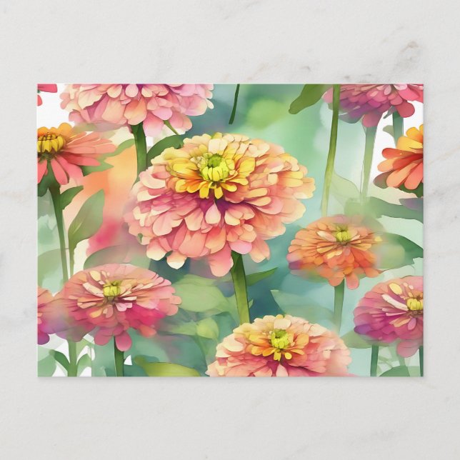 Postal Color de agua suave Zinnia Floral (Anverso)