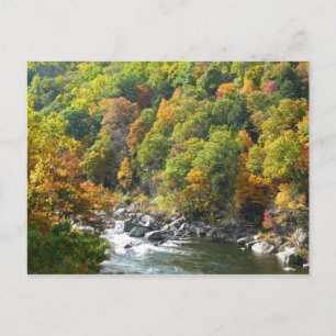 Postal Color de la caída en el Parque Estatal Ohiopyle