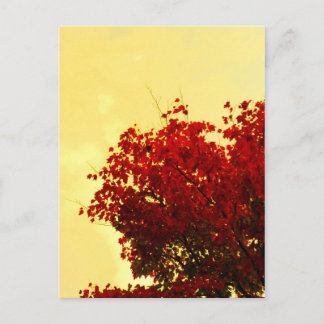 Postal Color de otoño