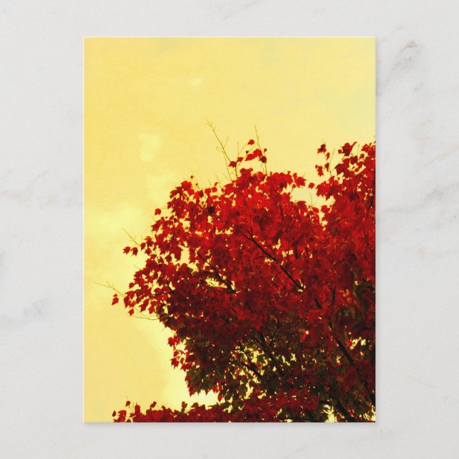 Postal Color de otoño (Anverso)