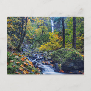 Postal Color de otoño a lo largo de Starvation Creek Fall