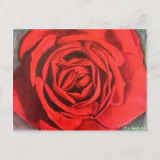 Postal - color de rosa