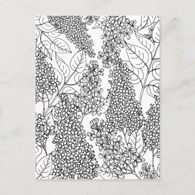 Postal Color de sus propias flores de lagarto (Anverso)